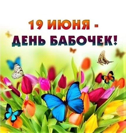 WhatsApp Image 2025-06-19 at 12.09.24.jpeg